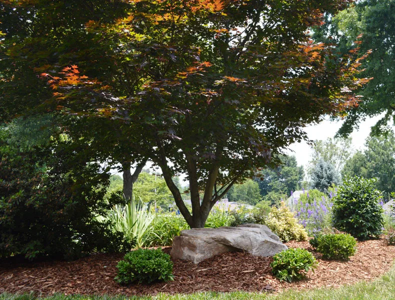 Residential Showcase Presentation by Promier Landscapes - Photo 15