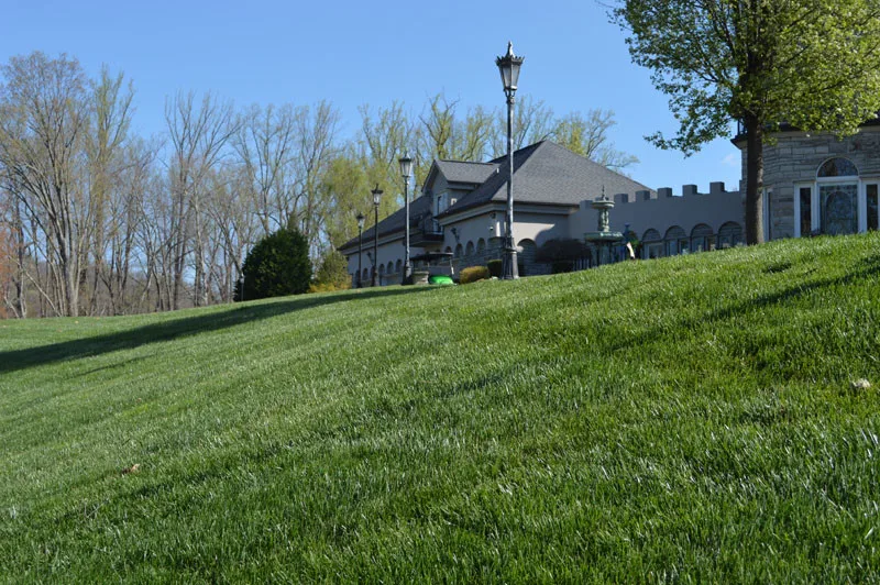 Residential Showcase Presentation by Promier Landscapes - Photo 80