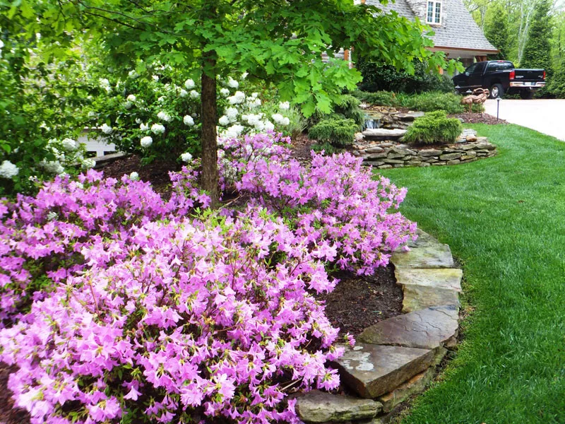 Residential Showcase Presentation by Promier Landscapes - Photo 17