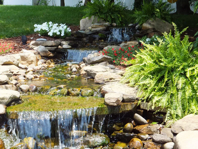 Residential Showcase Presentation by Promier Landscapes - Photo 64