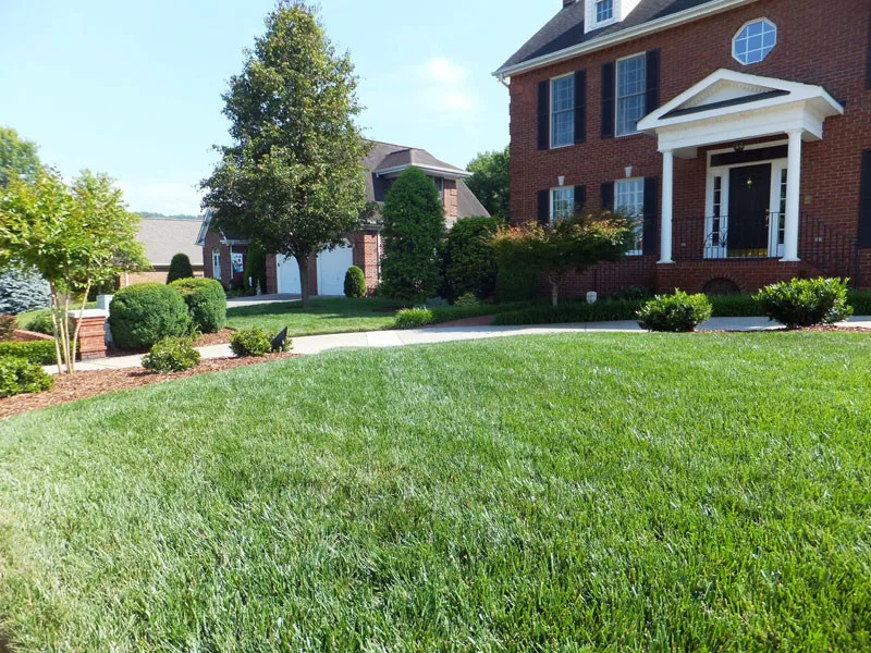 Residential Showcase Presentation by Promier Landscapes - Photo 59