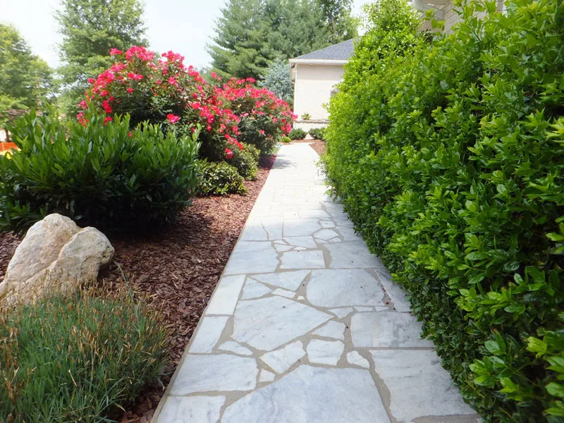 Residential Showcase Presentation by Promier Landscapes - Photo 60