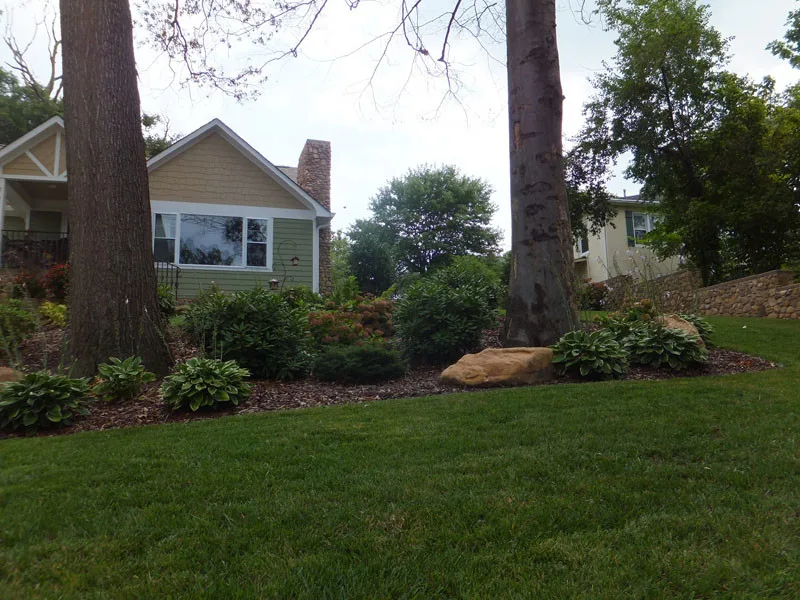 Promier Landscapes - Photo 8