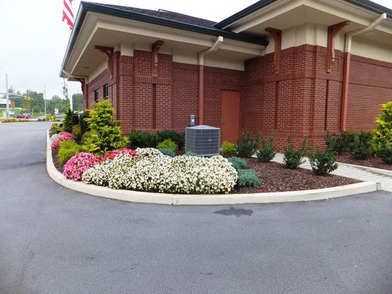 Residential Showcase Presentation by Promier Landscapes - Photo 67