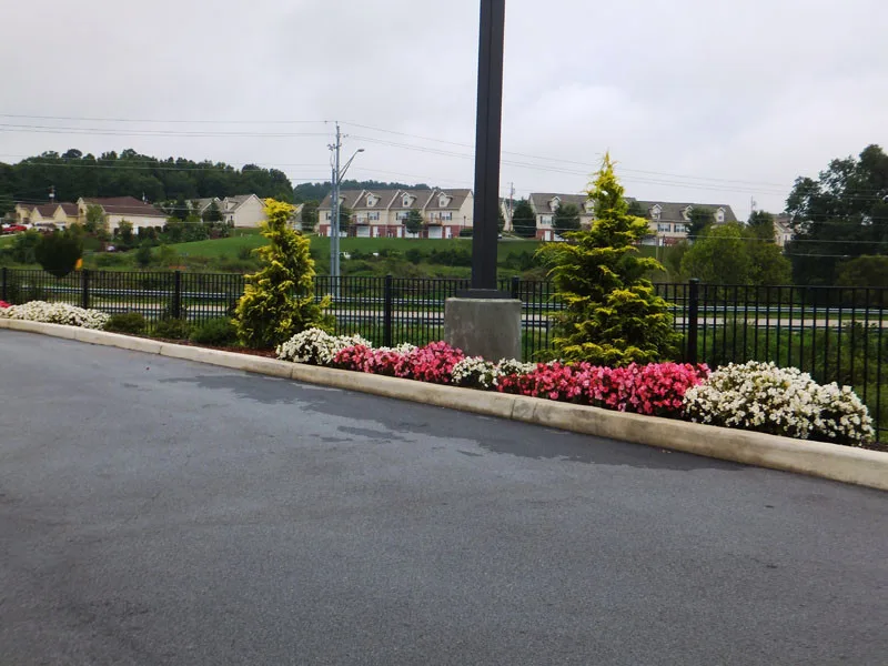 Residential Showcase Presentation by Promier Landscapes - Photo 23