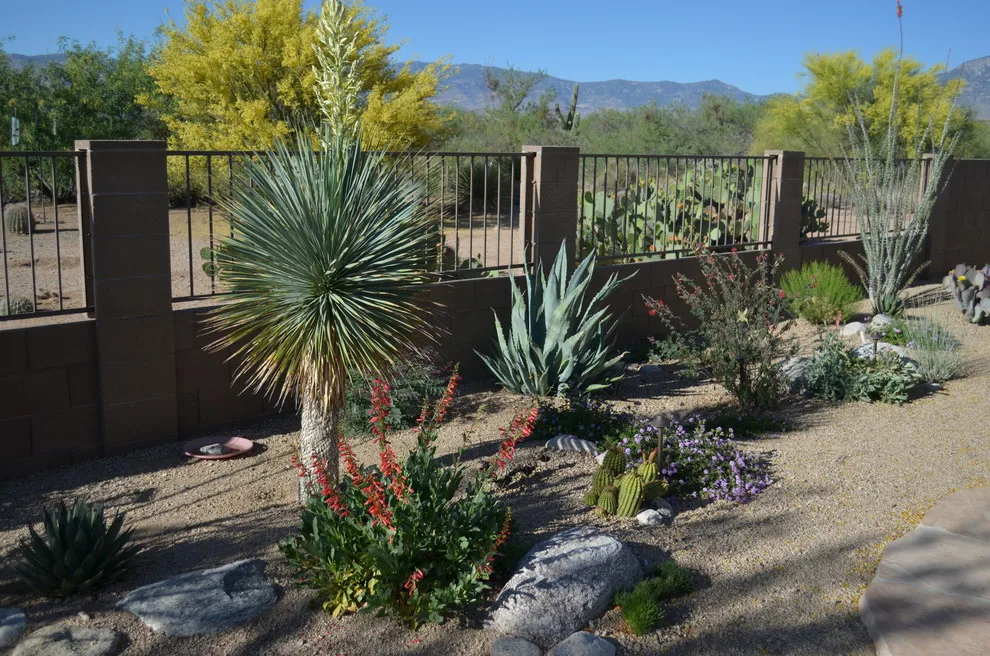 ESSENTIAL HUMMINGBIRD by Landscape Design West, LLC - Photo 5