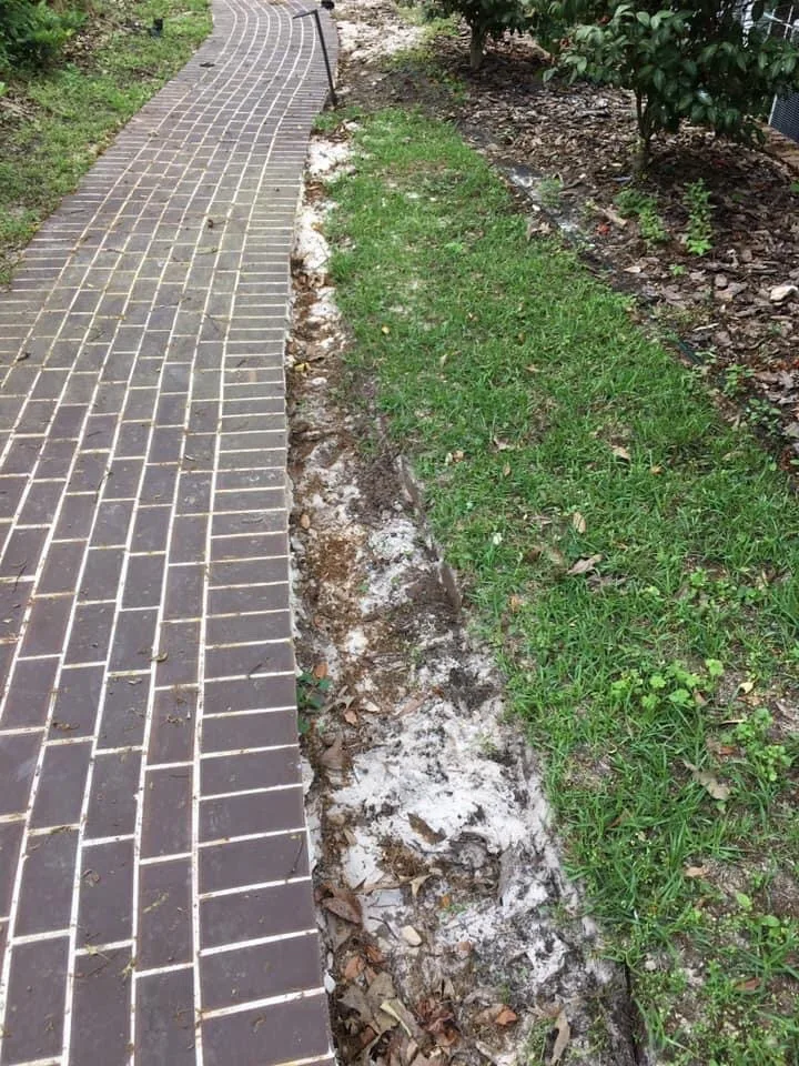 Home Landscaping and Drainage Renovation by Dauphin Irrigation & Landscaping Llc - Photo 13