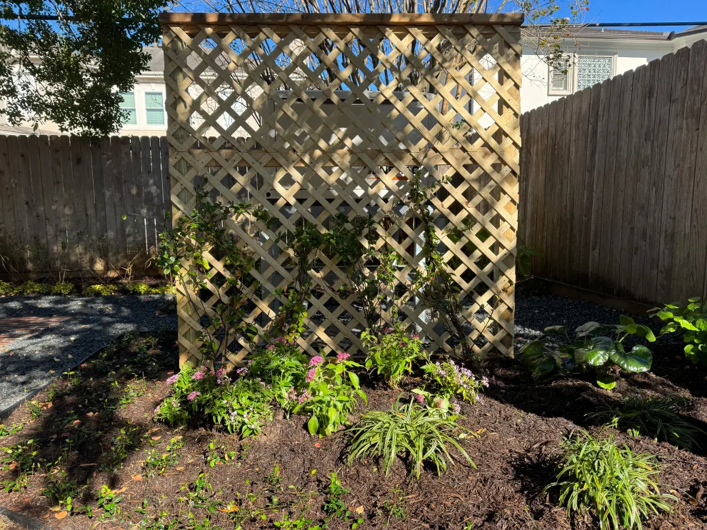 Grennoch Street Project in West U by Holmes Landscape Company - Photo 14