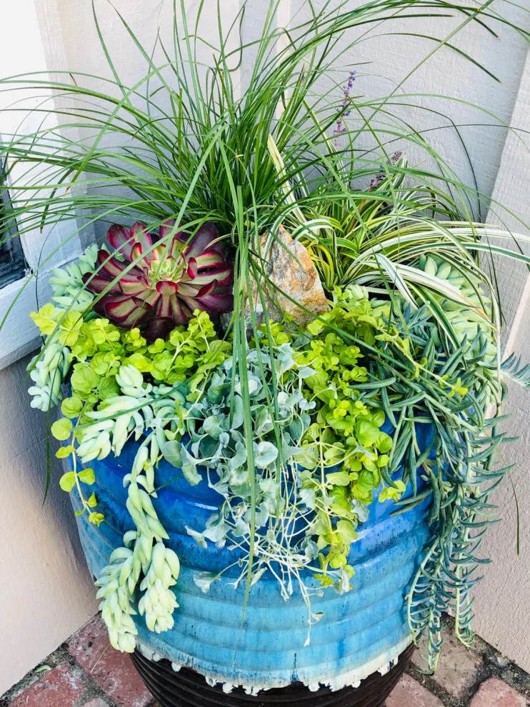 Taormino Gardening - Photo 7