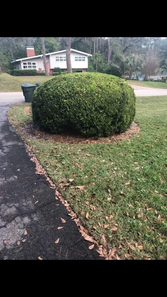 Bush extraction tool by Dauphin Irrigation & Landscaping Llc - Photo 2