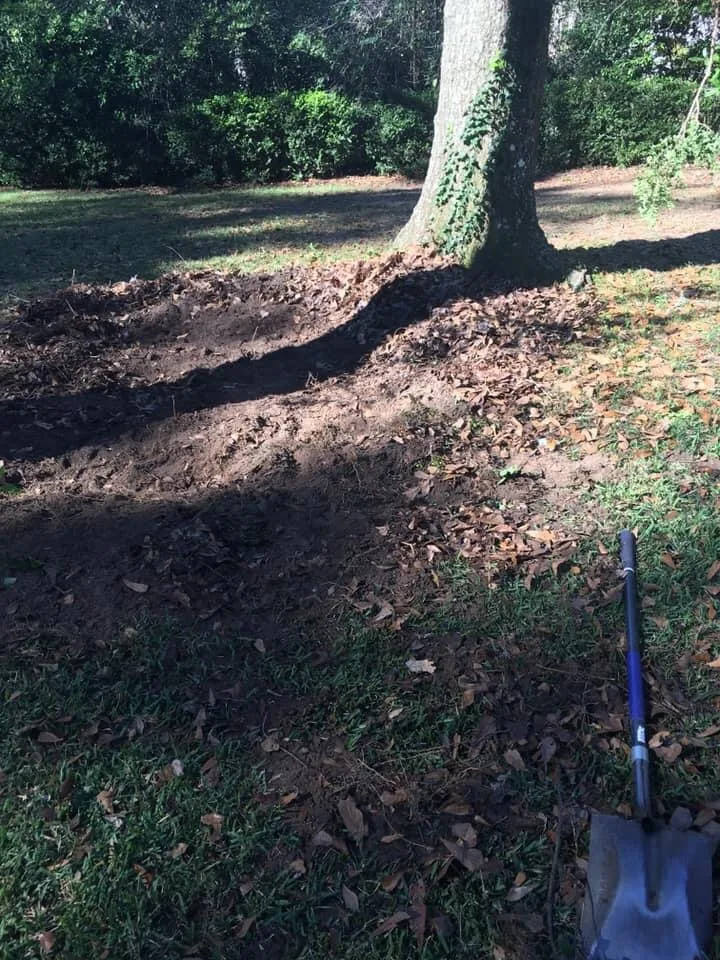 Dauphin Irrigation & Landscaping Llc - Photo 14