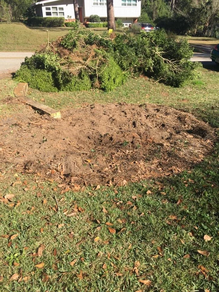 Dauphin Irrigation & Landscaping Llc - Photo 2