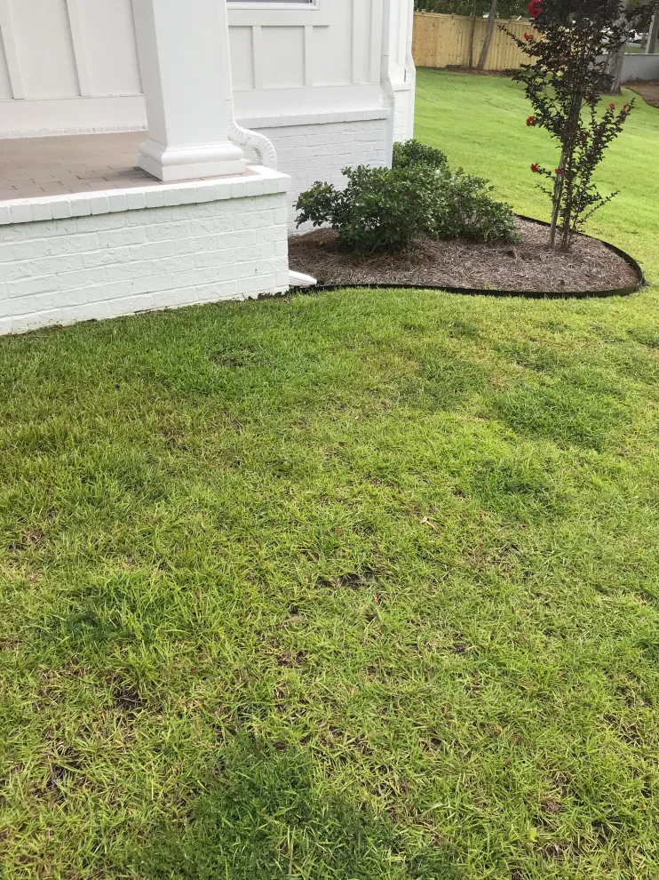 Dauphin Irrigation & Landscaping Llc - Photo 9