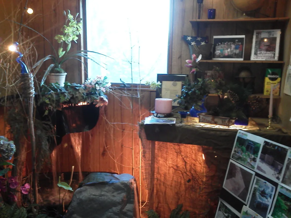 indoor greenery, design, illumination, water feature by Soergel Landscapes, Aquascapes, Florascapes - Photo 10
