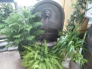 indoor greenery, design, illumination, water feature by Soergel Landscapes, Aquascapes, Florascapes - Photo 6