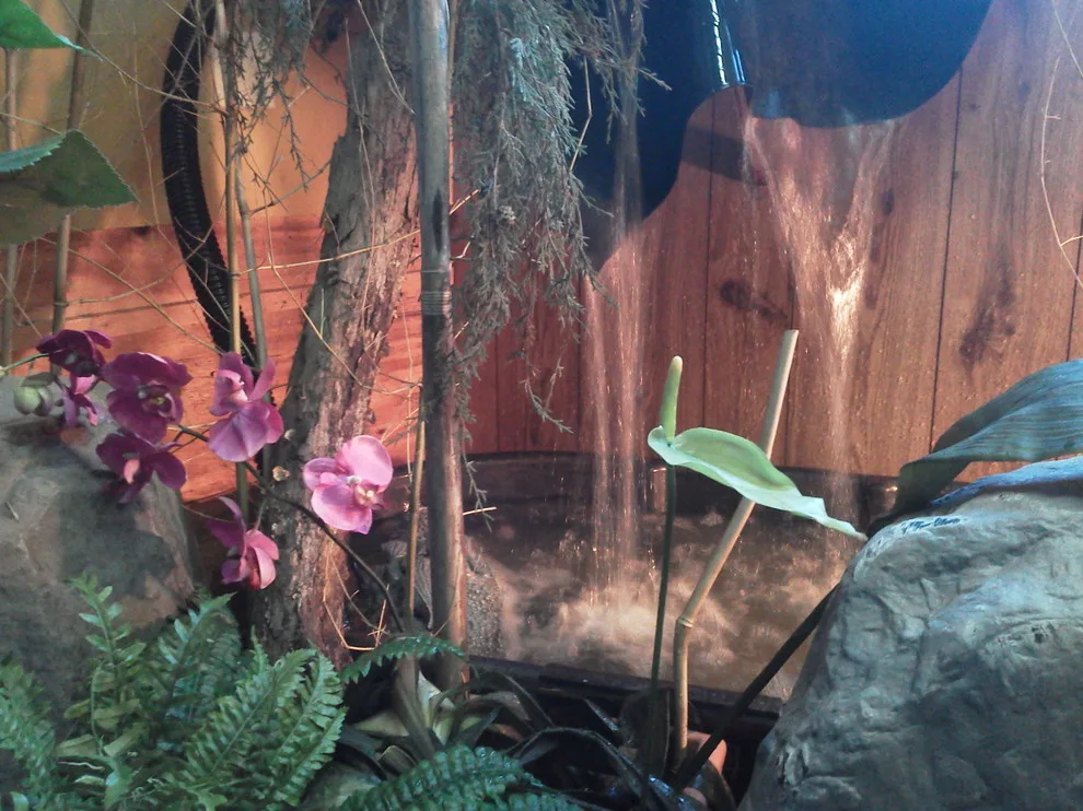 indoor greenery, design, illumination, water feature by Soergel Landscapes, Aquascapes, Florascapes - Photo 5