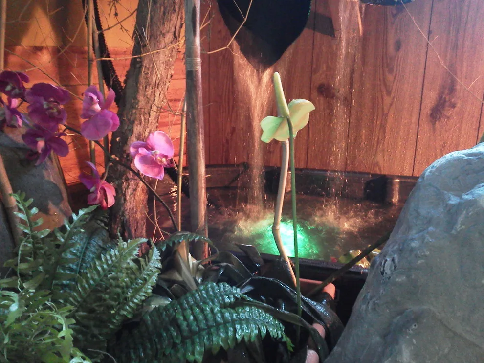 indoor greenery, design, illumination, water feature by Soergel Landscapes, Aquascapes, Florascapes - Photo 7