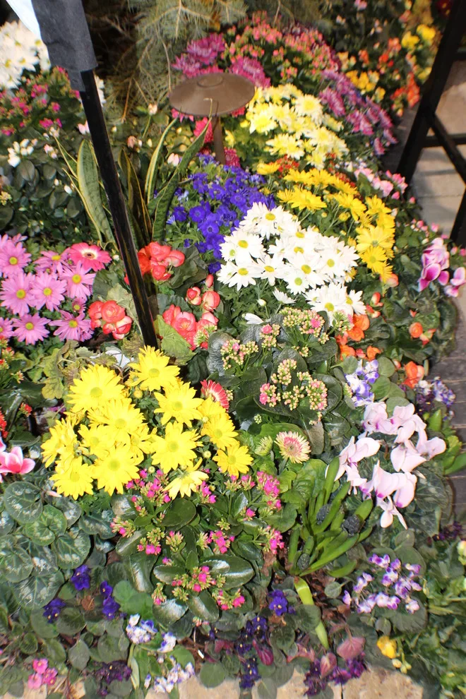 Johnson County Home and Garden Expo 2018 by Second Nature Outdoor Living & Landscaping - Photo 3