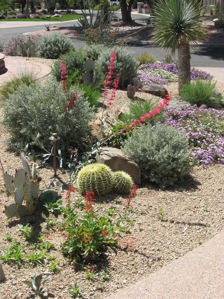 THE WINDOW TO PARADISE by Landscape Design West, LLC - Photo 10