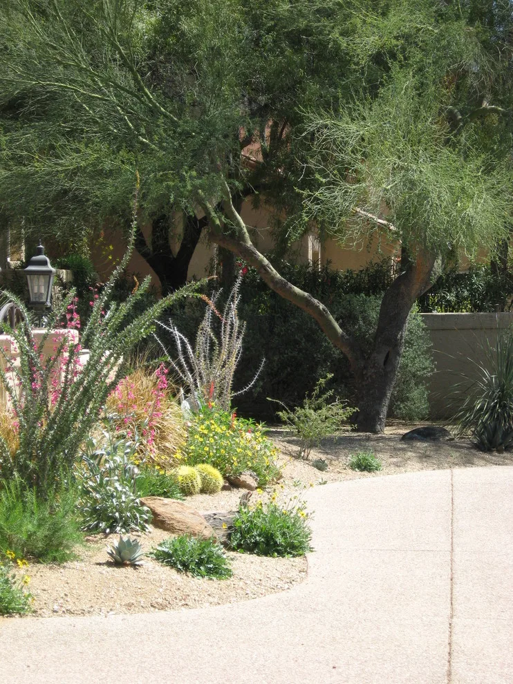 THE WINDOW TO PARADISE by Landscape Design West, LLC - Photo 5