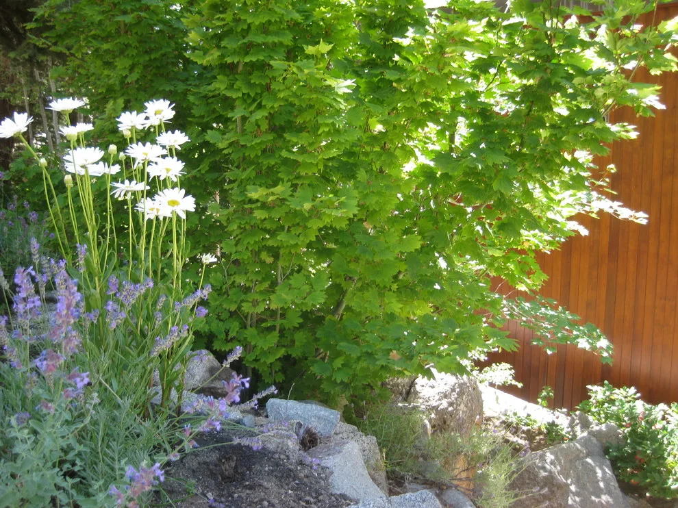 John L'Etoile Landscape Architecture - Photo 13