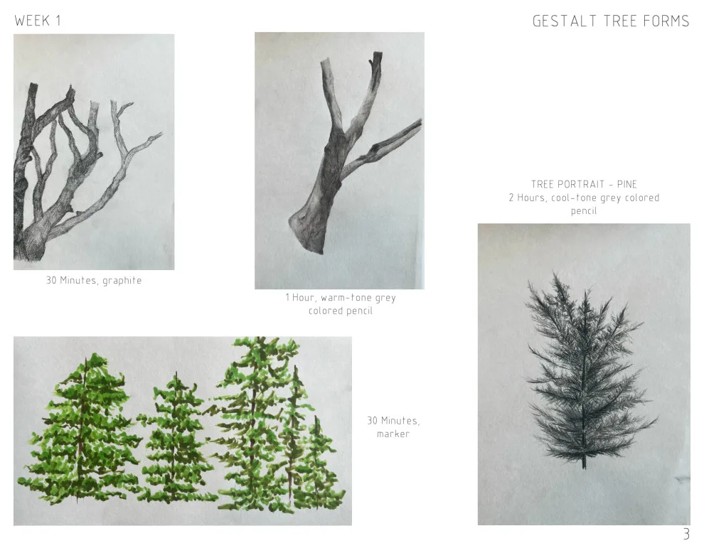 Student Portfolio - Photo 5