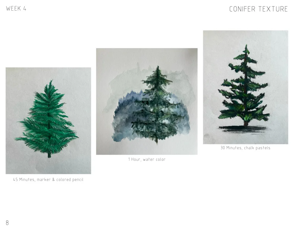 Student Portfolio - Photo 2