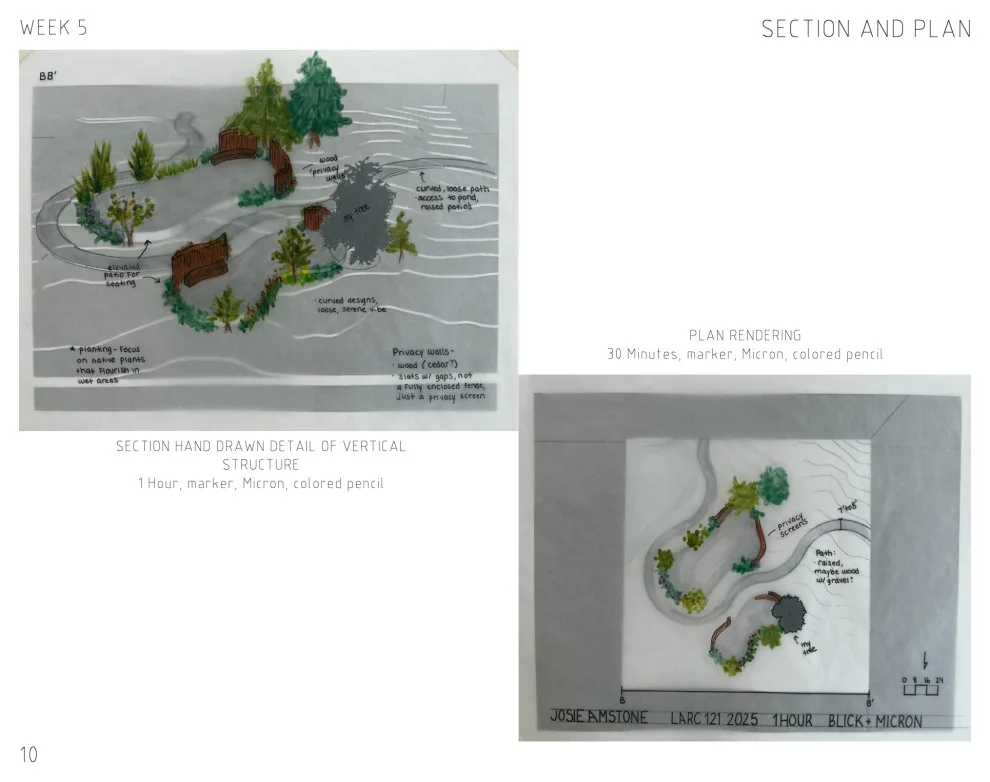 Student Portfolio - Photo 13