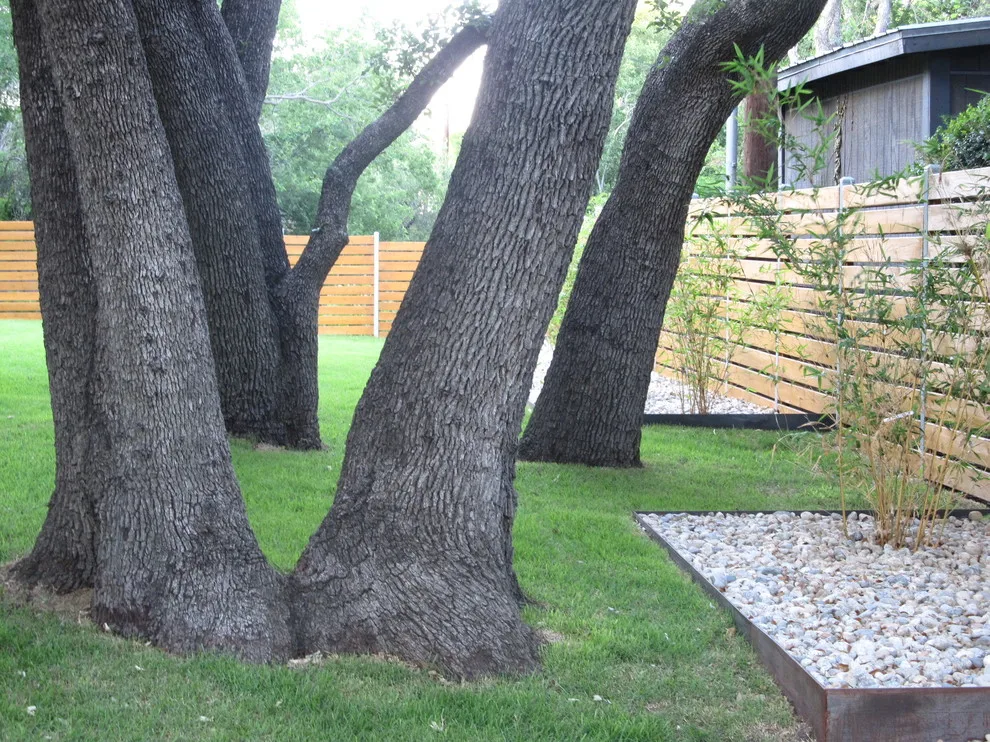 Scenery by Green Republic Design Group - Photo 9