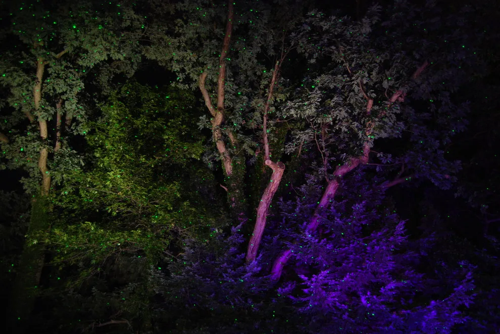 Soergel Landscapes, Aquascapes, Florascapes - Photo 7