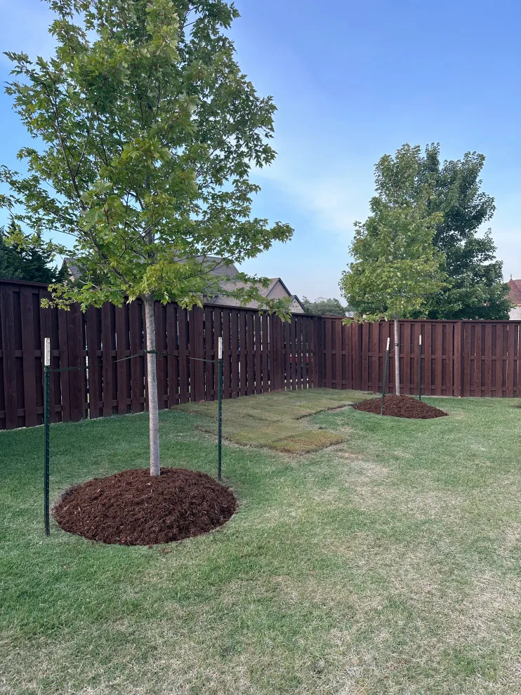 Garden Care Services by Davis Garden & Landscape - Photo 4