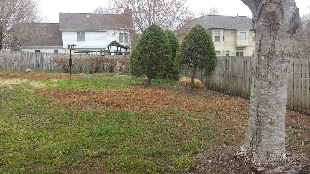 Landscape Transformation by Wildwood Land Design - Photo 2
