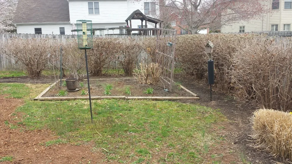 Landscape Transformation by Wildwood Land Design - Photo 6