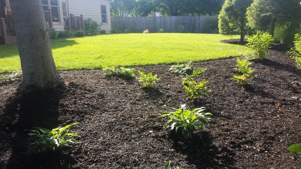 Landscape Transformation by Wildwood Land Design - Photo 13