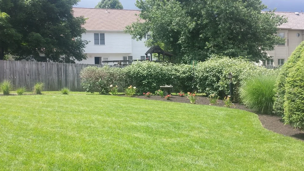 Landscape Transformation by Wildwood Land Design - Photo 3