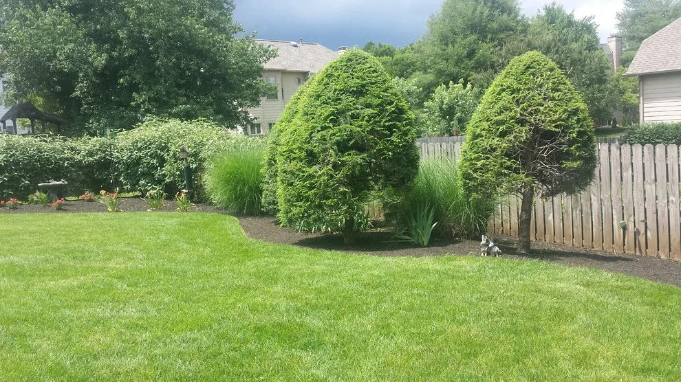 Landscape Transformation by Wildwood Land Design - Photo 7