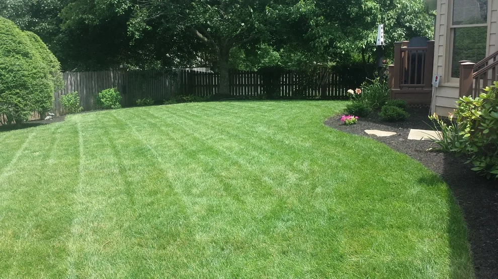 Landscape Transformation by Wildwood Land Design - Photo 4