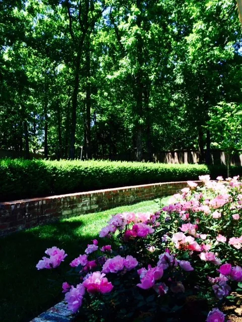 Leawood Path by Colonial Hills - Photo 8