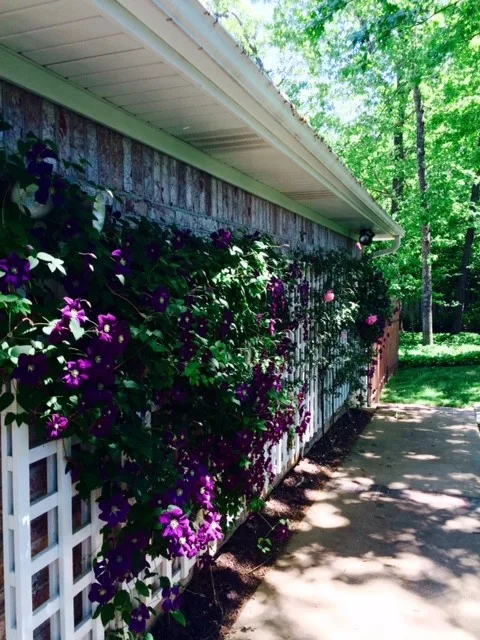Leawood Path by Colonial Hills - Photo 11