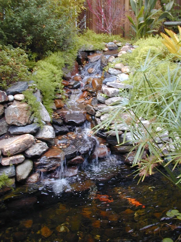 Aquatic Elements, Hot Tubs, and Swimming Areas by Gardens & Gables - Photo 18
