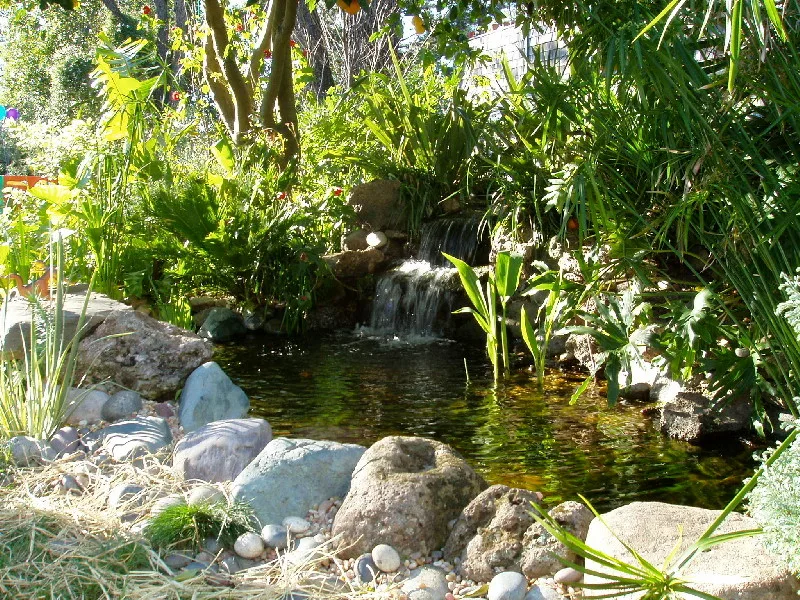 Aquatic Elements, Hot Tubs, and Swimming Areas by Gardens & Gables - Photo 2