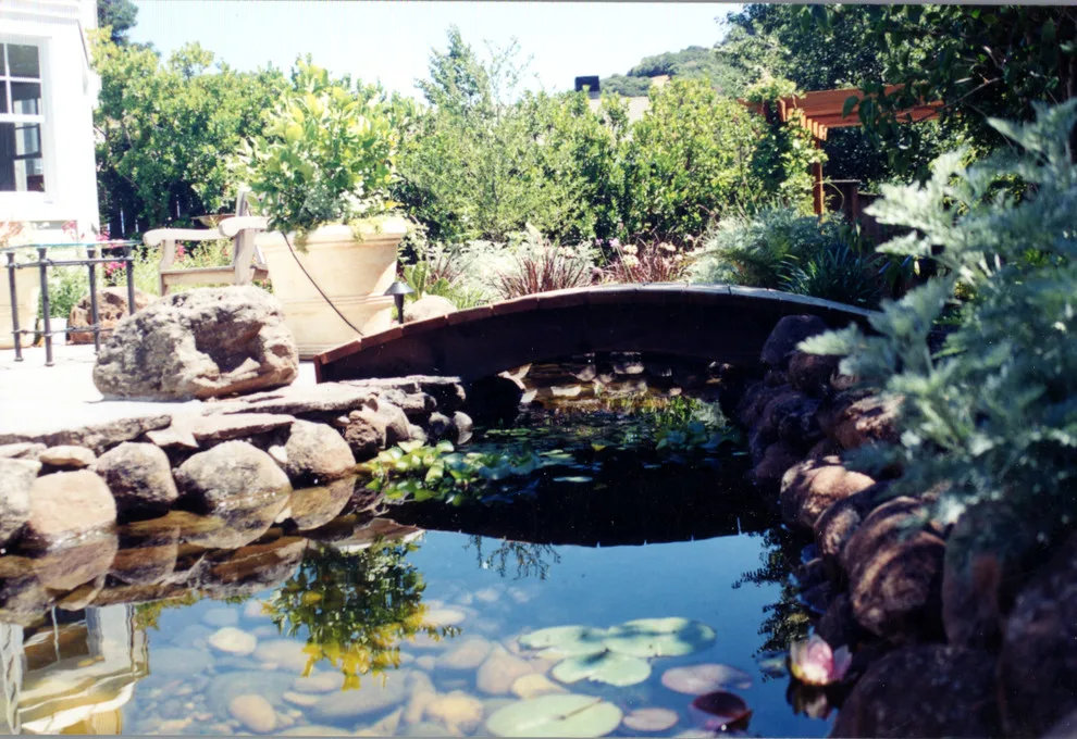 Aquatic Elements, Hot Tubs, and Swimming Areas by Gardens & Gables - Photo 24