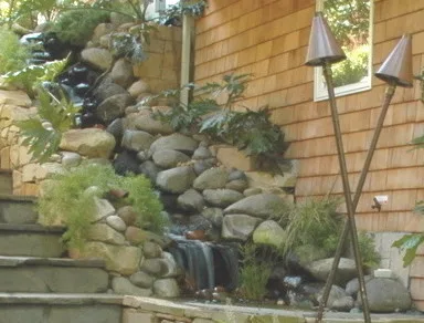 Aquatic Elements, Hot Tubs, and Swimming Areas by Gardens & Gables - Photo 9