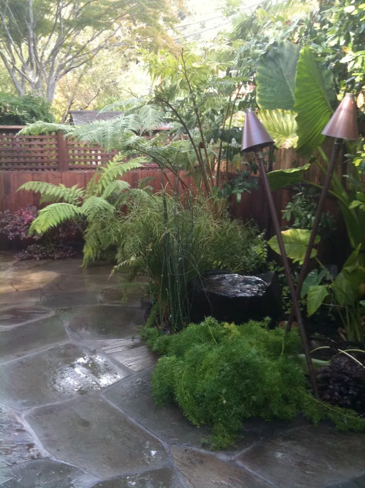 Aquatic Elements, Hot Tubs, and Swimming Areas by Gardens & Gables - Photo 20