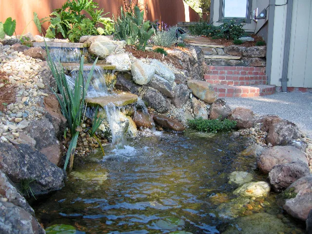 Aquatic Elements, Hot Tubs, and Swimming Areas by Gardens & Gables - Photo 17