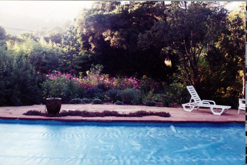 Aquatic Elements, Hot Tubs, and Swimming Areas by Gardens & Gables - Photo 15