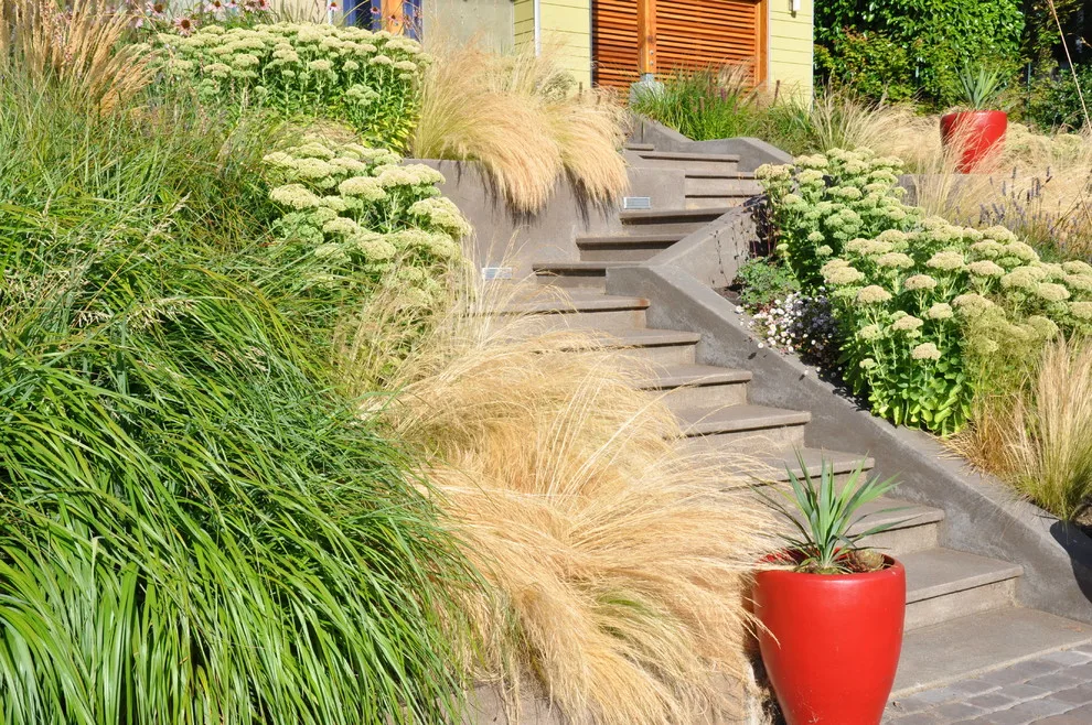 Lovinger Robertson Landscape Architects - Photo 3