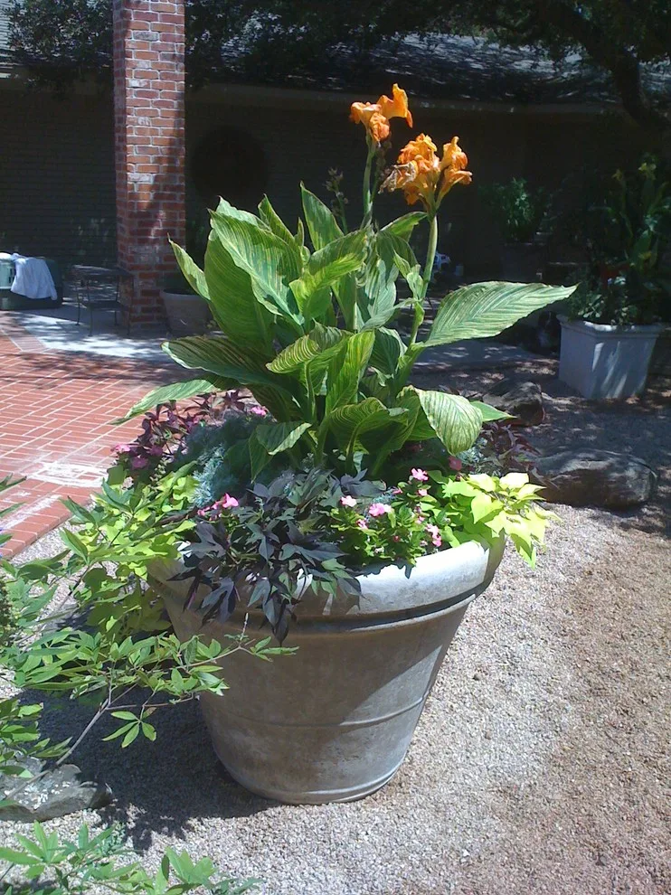 Lubbock Landscape Design, Installation, and Maintenance by Austex Landscape - Photo 7