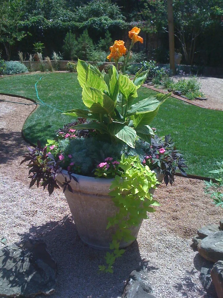 Lubbock Landscape Design, Installation, and Maintenance by Austex Landscape - Photo 25