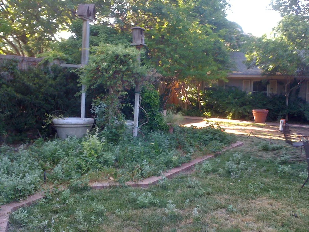 Lubbock Landscape Design, Installation, and Maintenance by Austex Landscape - Photo 4